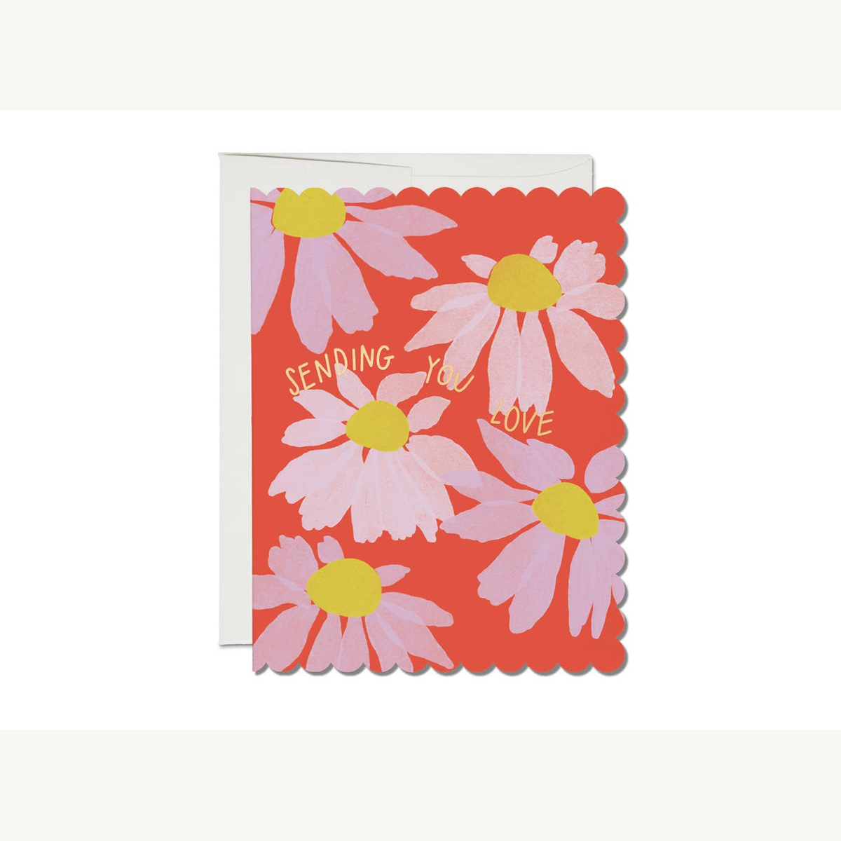 scalloped coneflower sympathy greeting card_1