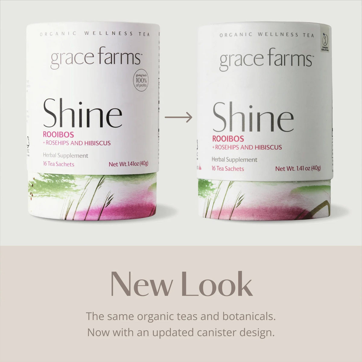 shine wellness tea rosehips hibiscus organic_3