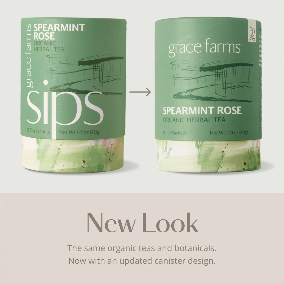 Spearmint Rose Herbal Tea - Organic