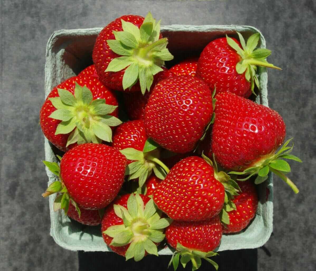 Strawberries, IPM ($12/ea)