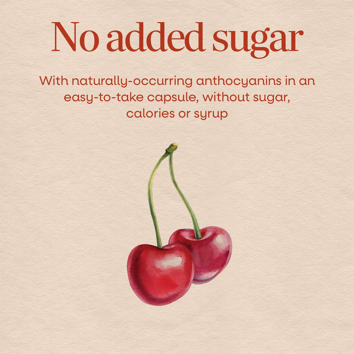 tart cherry ultra capsules_4